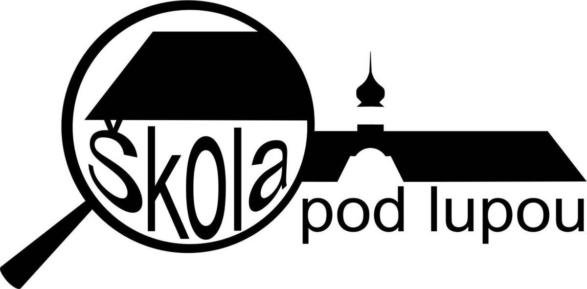 Dne 14. listopadu jsme reprezentovaly naši školu ve florbalovém turnaji.