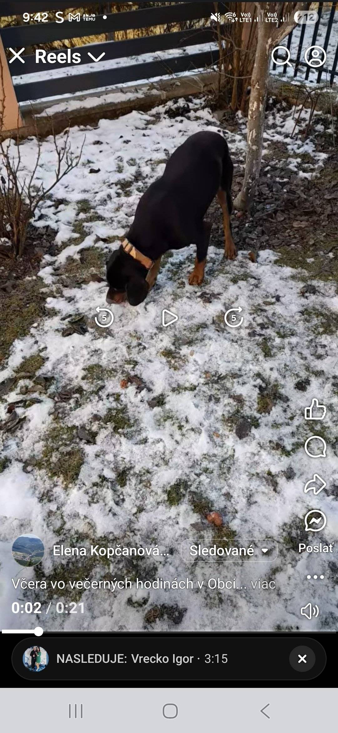 Vcera vo vecernych hodinach sa nasiel pes, pravdepodobne kopov. Pes sa nachadza na radovke. Kontaktovat nalezcu mozte na t.cisle 0908 141 120