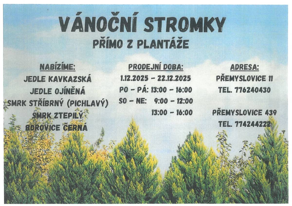 Vánoční stromky přímo z plantáže. Prodej v Přemyslovicích od 1.12.2025.