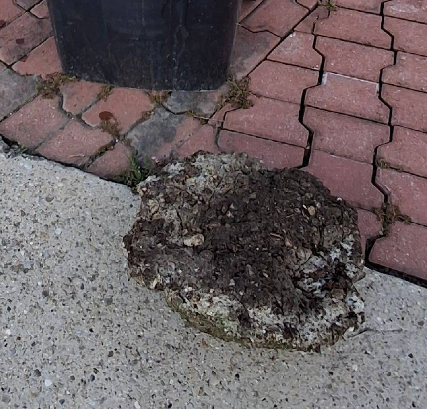 Upozornenie na výskyt stavebného odpadu v smetných nádobách