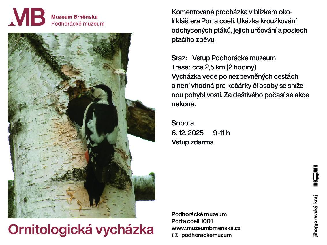 Přijďte s  Podhoráckým muzeem projít malebným okolím kláštera Porta coeli. Budeme mít jedinečnou příležitost vidět kroužkování ptáků a dozvědět se více o jejich určování a zpěvu. Sraz účastníků je v sobotu 6. 12. 2025 v 9:00 hodin u vstupu do Podhoráckého muzea. Vycházka je dlouhá asi 2,5 km a potrvá přibližně 2 hodiny. Upozorňujeme, že trasa je vedena po nezpevněných cestách, což může být problém pro kočárky a osoby se sníženou pohyblivostí. Akce je zdarma a v případě deště se nekoná.