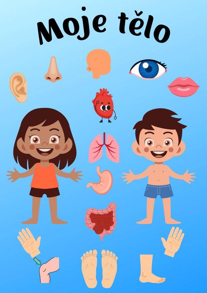 Svatý Martin, lidské tělo a zdraví.