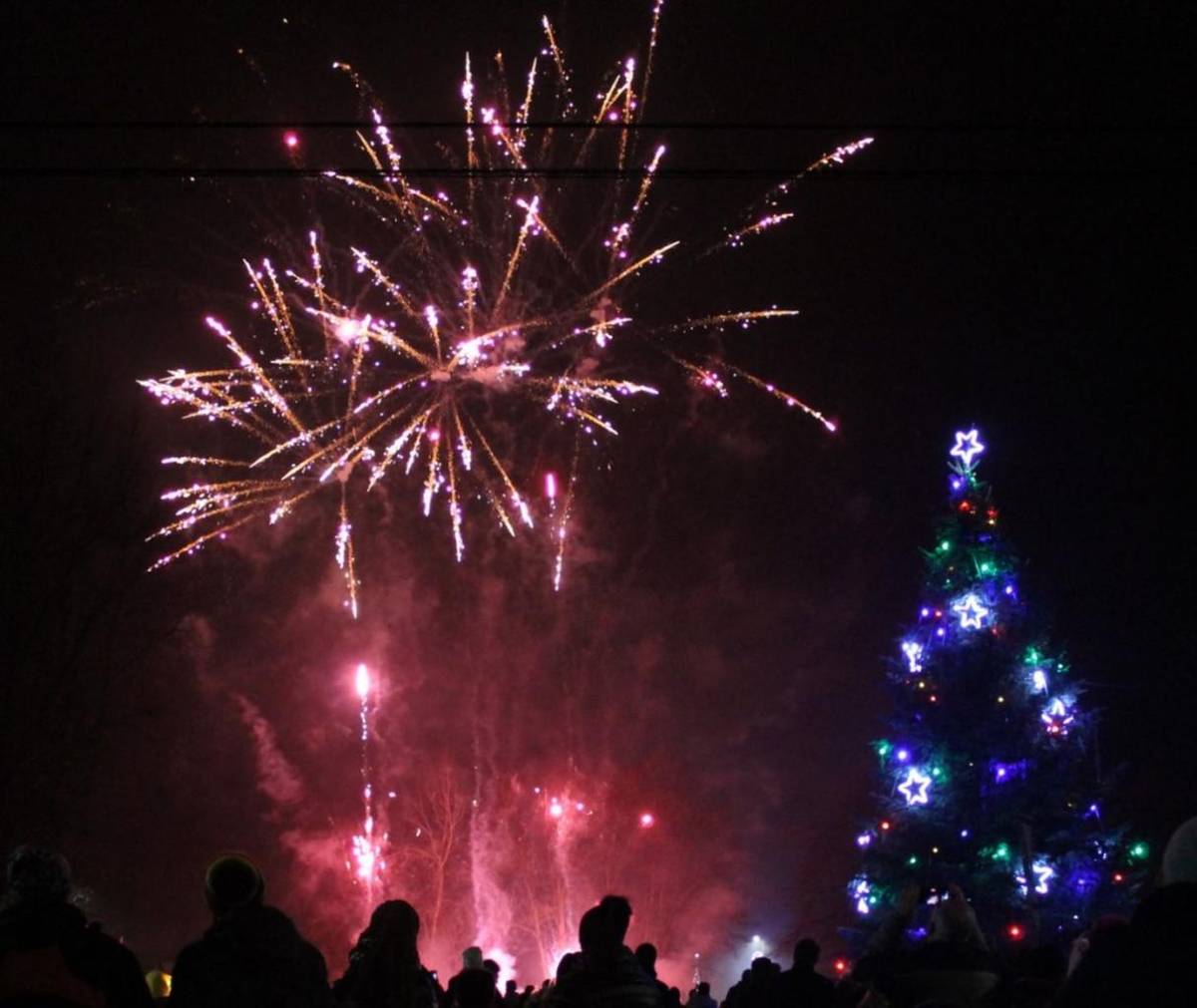Blíží se konec roku a ten je vždy spojen s bujarým veselím, které doprovází i používání petard a ohňostrojů.