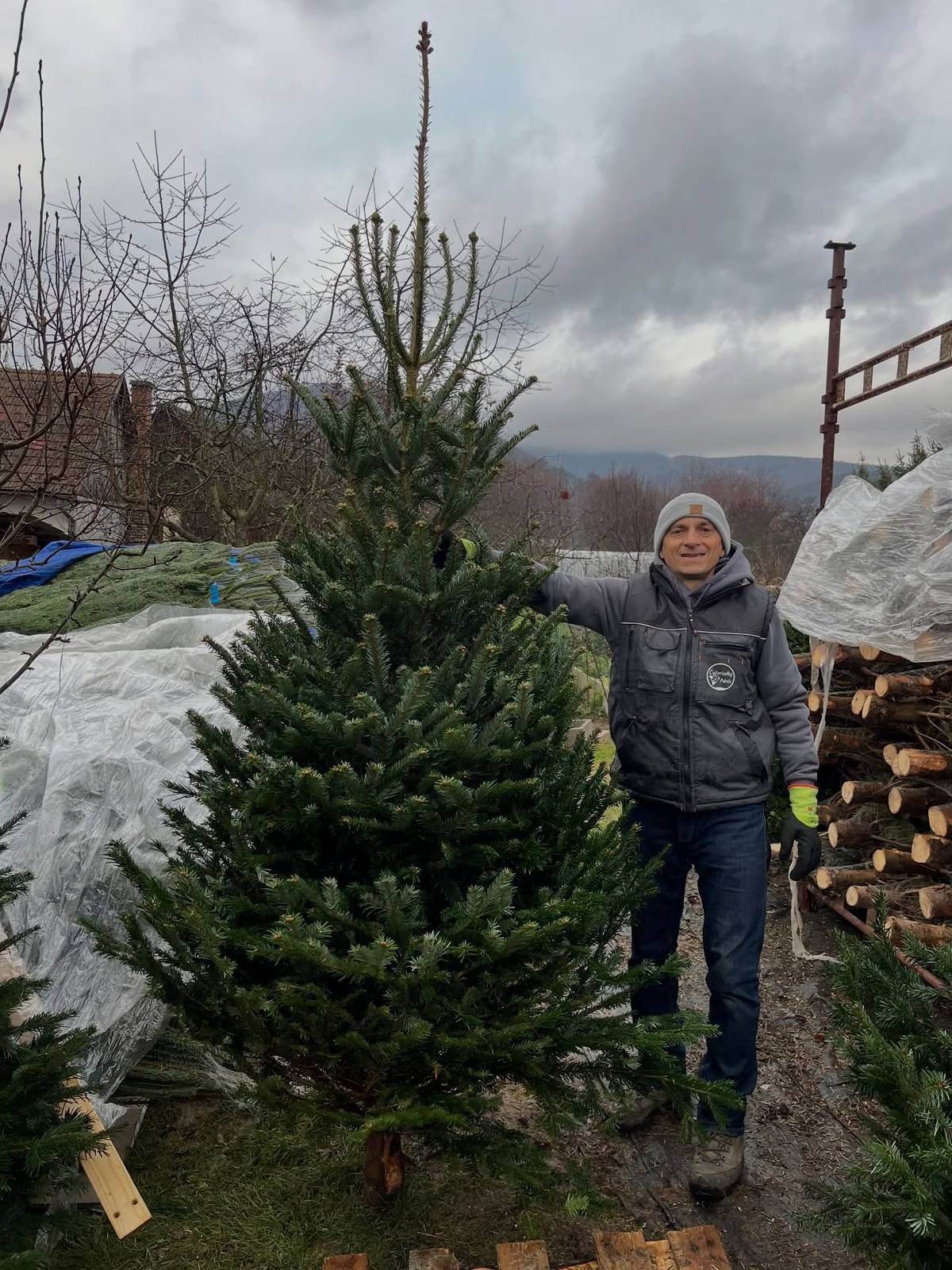 🎄JE TO TU!🎄  Od dnes (29.11.2025) 9:00 otvárame!  Vianočné stromčeky sú pripravené a my sa tešíme na vašu návštevu 🌲  Rudnianska Lehota 179 📌 Otváracie hodiny ⏰ Pondelok - Sobota  9:00 - 17:00 hod.  Nedeľa  9:00 - 15:00 hod.   PS - prineste si so sebou stojan na stromček! 😃   https://www.facebook.com/share/p/16eb5dZZYX/