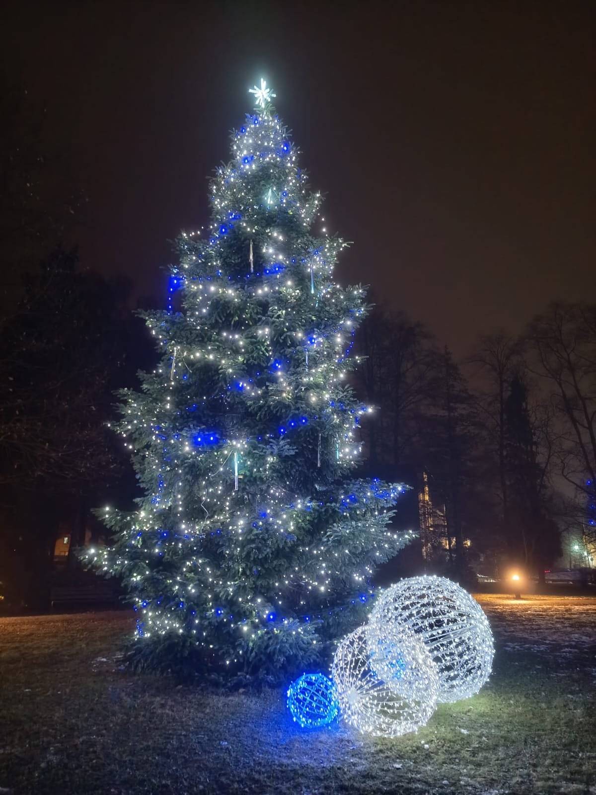 Svinovský vánoční strom byl zařazen do soutěže o nejkrásnější vánoční stromek Ostravska v anketě čtenářů Vánoční strom Deníku 2025. Hlasovat můžete zde:  https://moravskoslezsky.denik.cz/zpravy_region/ostrava-anketa-vanocni-strom-deniku-okresni-kolo-obvody-hlasovani-20251201.html