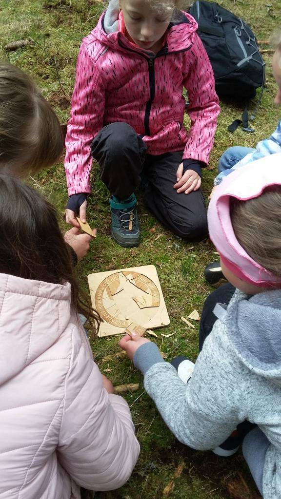 V druhém květnovém týdnu jsme realizovali projekt „Poznáváme šumavskou přírodu“, který byl z velké části financovaný z grantu Jihočeského kraje. Grant byl zaměřený na podporu environmentálních aktivit školy.