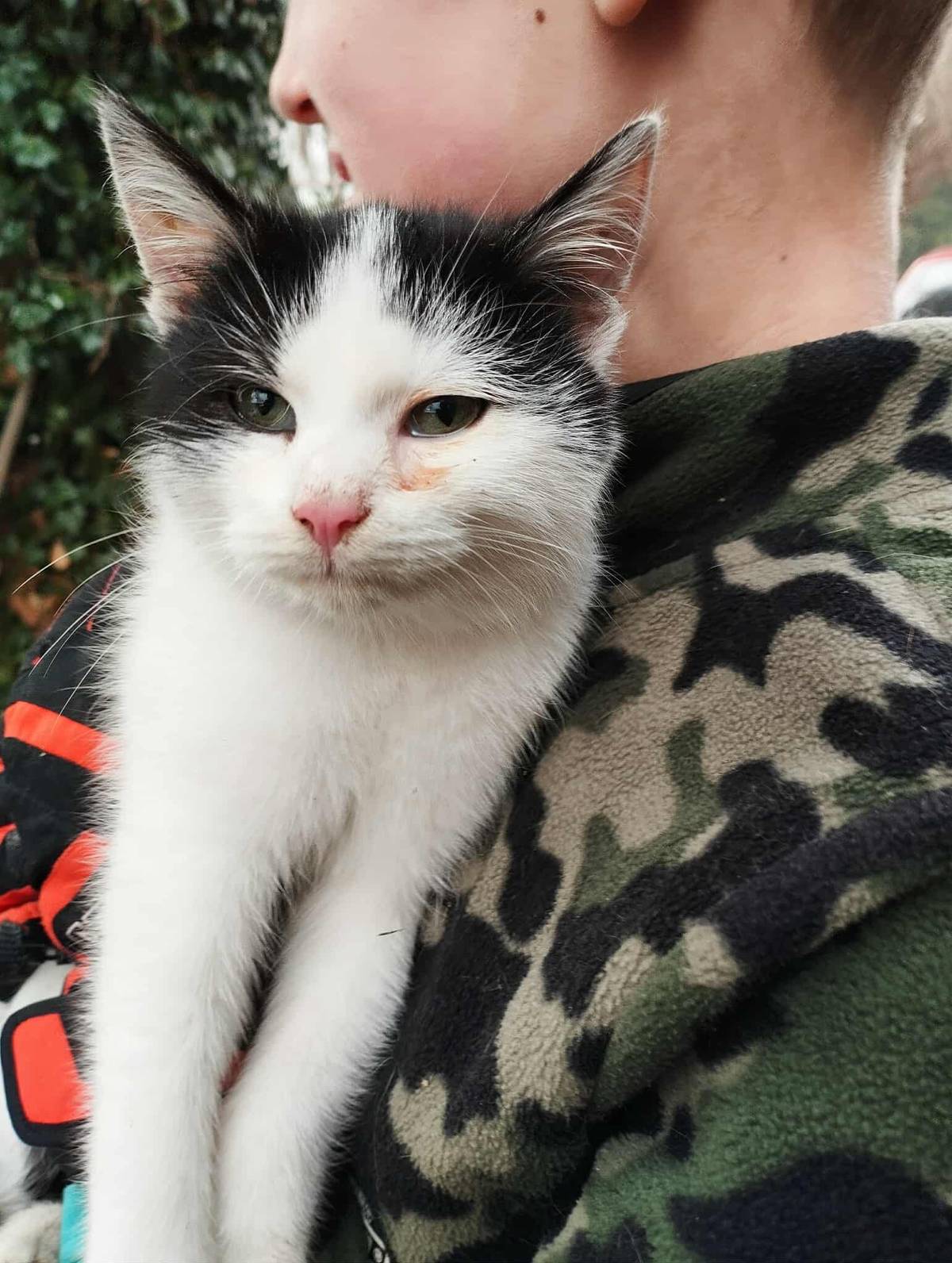 Moc hodná, zvyklá na teplo, čistotná. Nechybí někomu?  Volejte na tel. č. 603 845 682