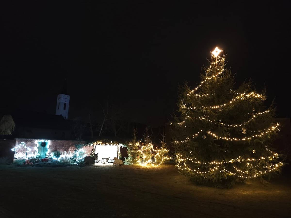 Radslavický vánoční strom, letos jménem Pepa, je opět v soutěži Vánoční strom Deníku 2025 — a bude rád za každou podporu ve formě hlasu! Liborovi se loni se podařilo v tomto kole zvítězit. Hlasujme letos pro našeho Pepíka a udělejme z Radslavic obec s nejkrásnějším stromem.   Hlasujte zde: https://prerovsky.denik.cz/zpravy_region/vanocni-strom-deniku-2025-prerov-prerovsko-hranice-hranicko-hlasovani.html   Stačí kliknout, přihlásit se jako čtenář a hlasovat. Hlasovat lze každou hodinu.