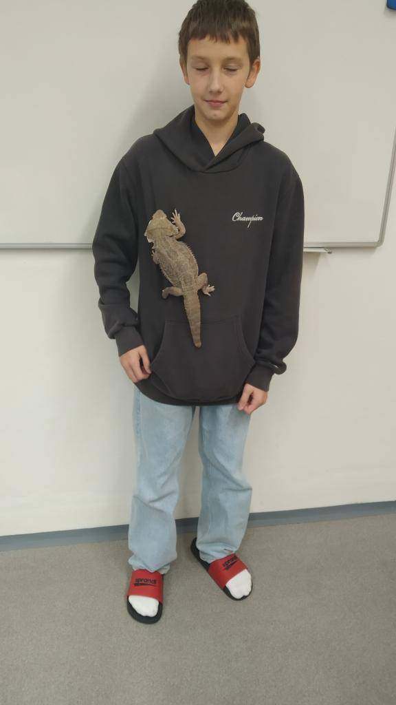 Výuka přírodopisu získala tento měsíc nečekaný, ale o to poutavější rozměr.Díky iniciativě tří nadšených žáků ze 7.B (Richarda Ženožičky, Nelly Fryštákové a Vojty Mrňky), se zvířecí říše přesunula přímo do školní lavice.