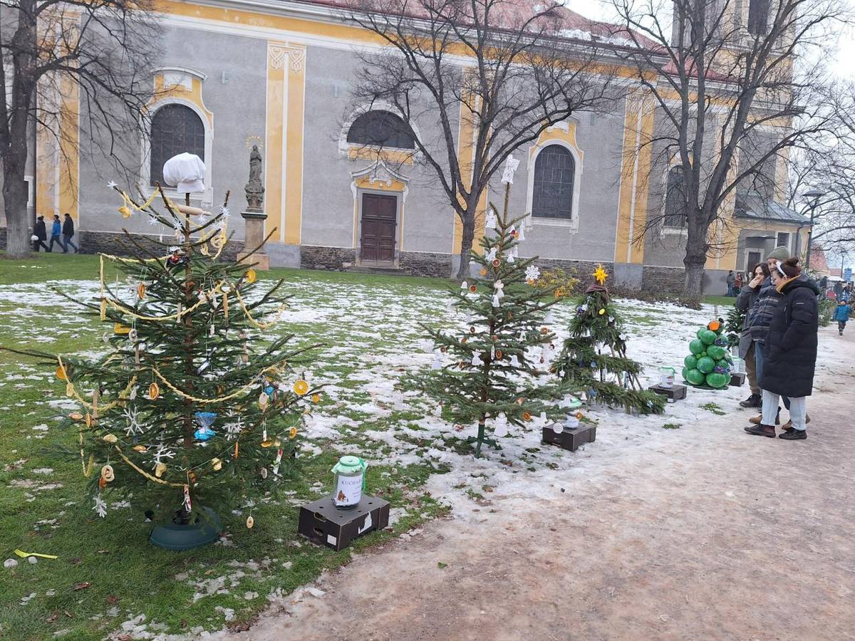 Výsledky soutěže o nejhezčí vánoční stromeček, která proběhla v sobotu na vánočních trzích v parku na náměstí.