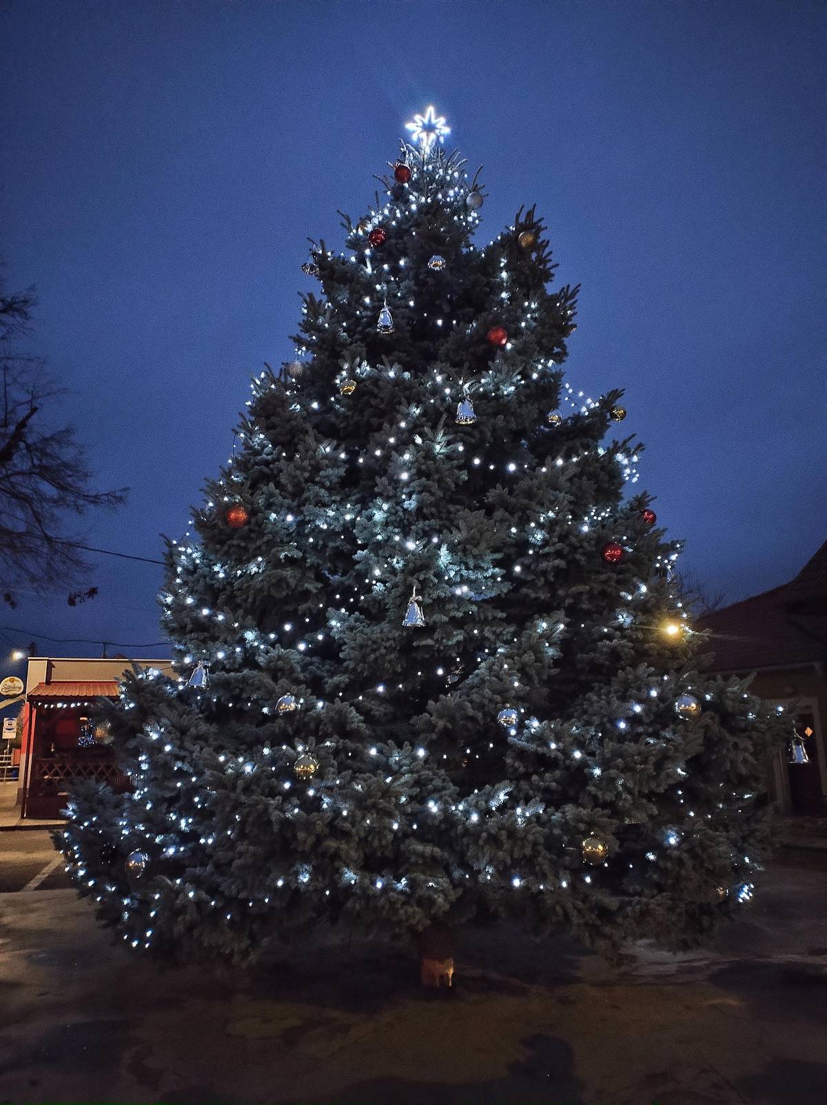 Milí občané! Hlasujte v anketě Znojemského deníku o nejhezčí Vánoční strom Deníku 2025. Strom je dobelický, darovaný obci místní rodinou a proto by si zasloužil nějaké to ocenění, co myslíte? Hlasujte proto prosím do 10.12.2025 na https://znojemsky.denik.cz/.../anketa-nejkrasnejsi... Hlasovat mohou pouze registrovaní čtenáři. Moc děkujeme!