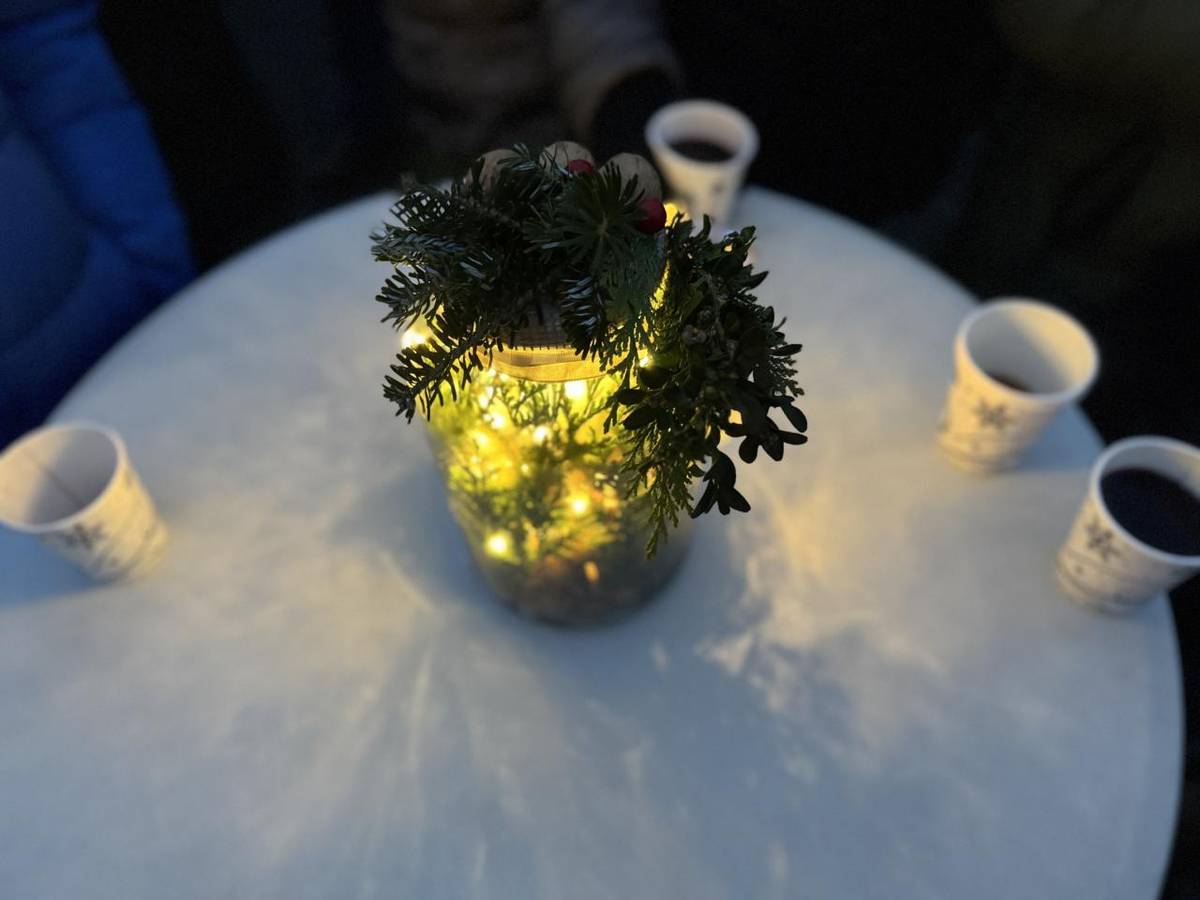 30.11. probíhalo v našem domácím městě Boru rozsvěcení vánočního stromu a městského osvětlení. Naši žáci i učitelé již tradičně pro celou akci zajišťovali občerstvení.     A my všem zúčastněným převelice děkujeme za odvedenou práci a šíření vánoční nálady!