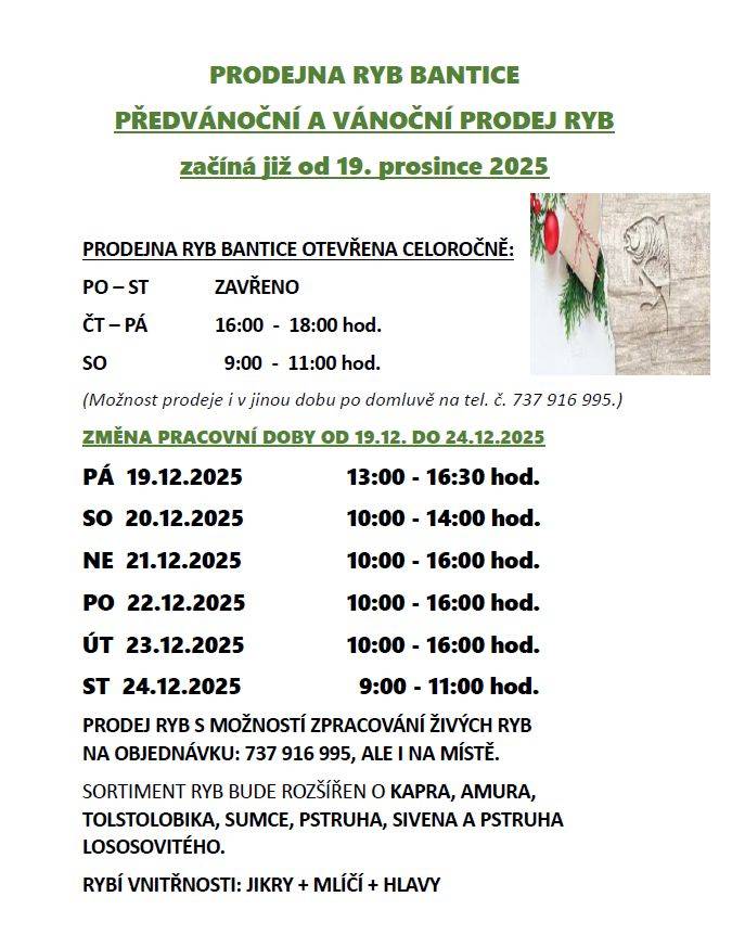 Prodejna ryb Bantice nabízí předvánoční a vánoční prodej ryb od 19. 12. 2025
