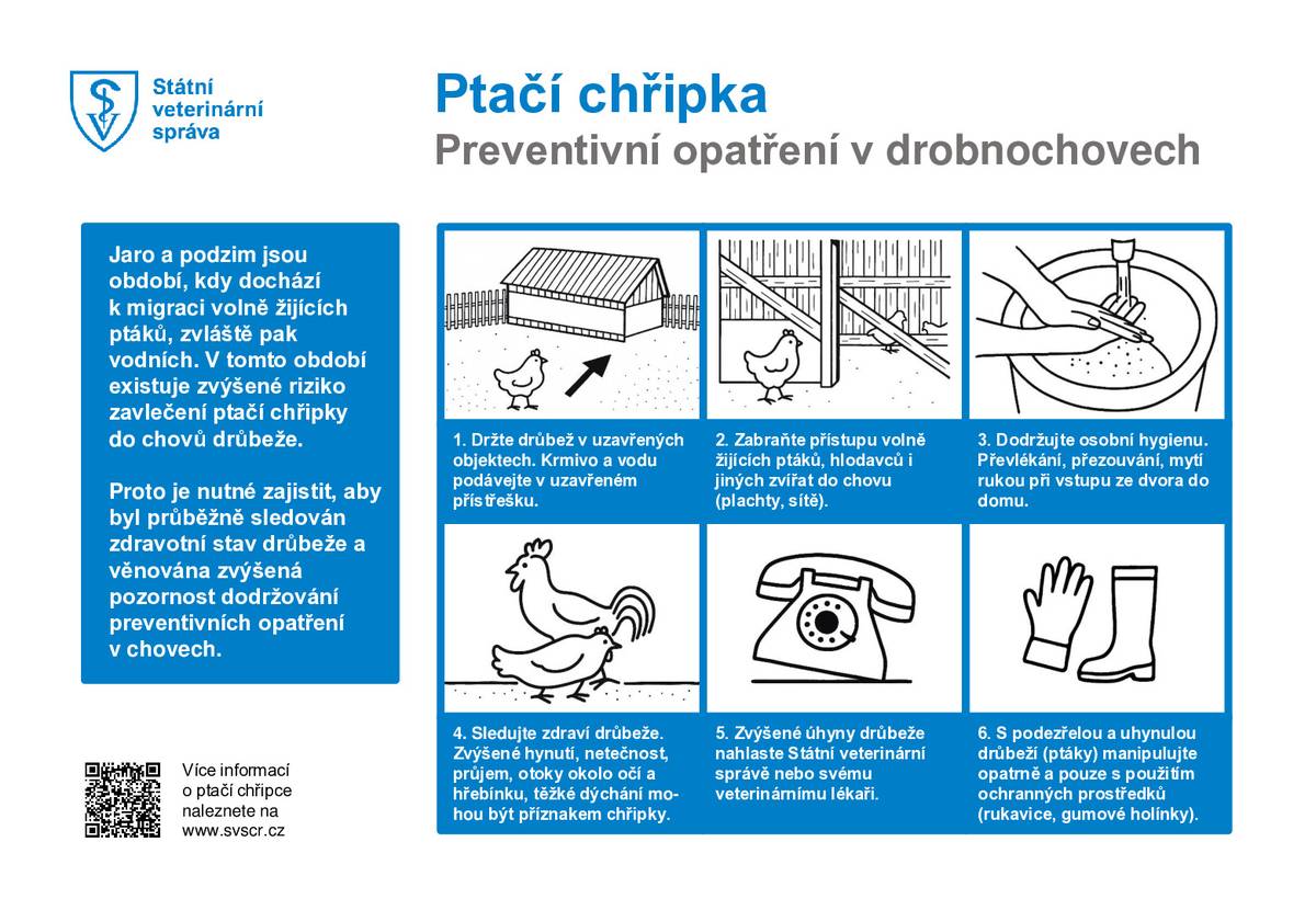 Krajská veterinární správa potvrdila výskyt newcastleské choroby v drobných chovech v regionu. Nemoc není přenosná na člověka, ale je nebezpečná pro chované ptáky. 🔸 Chovatelé mají zvýšit bio-bezpečnost: omezit kontakt s volně žijícími ptáky, mít krmivo a vodu pod přístřeškem a vypouštět drůbež jen do zabezpečených výběhů. 🔸 Při zvýšených úhynech či změnách zdravotního stavu ihned kontaktujte veterinární správu. Více informací na webu Hrabové v aktualitách.