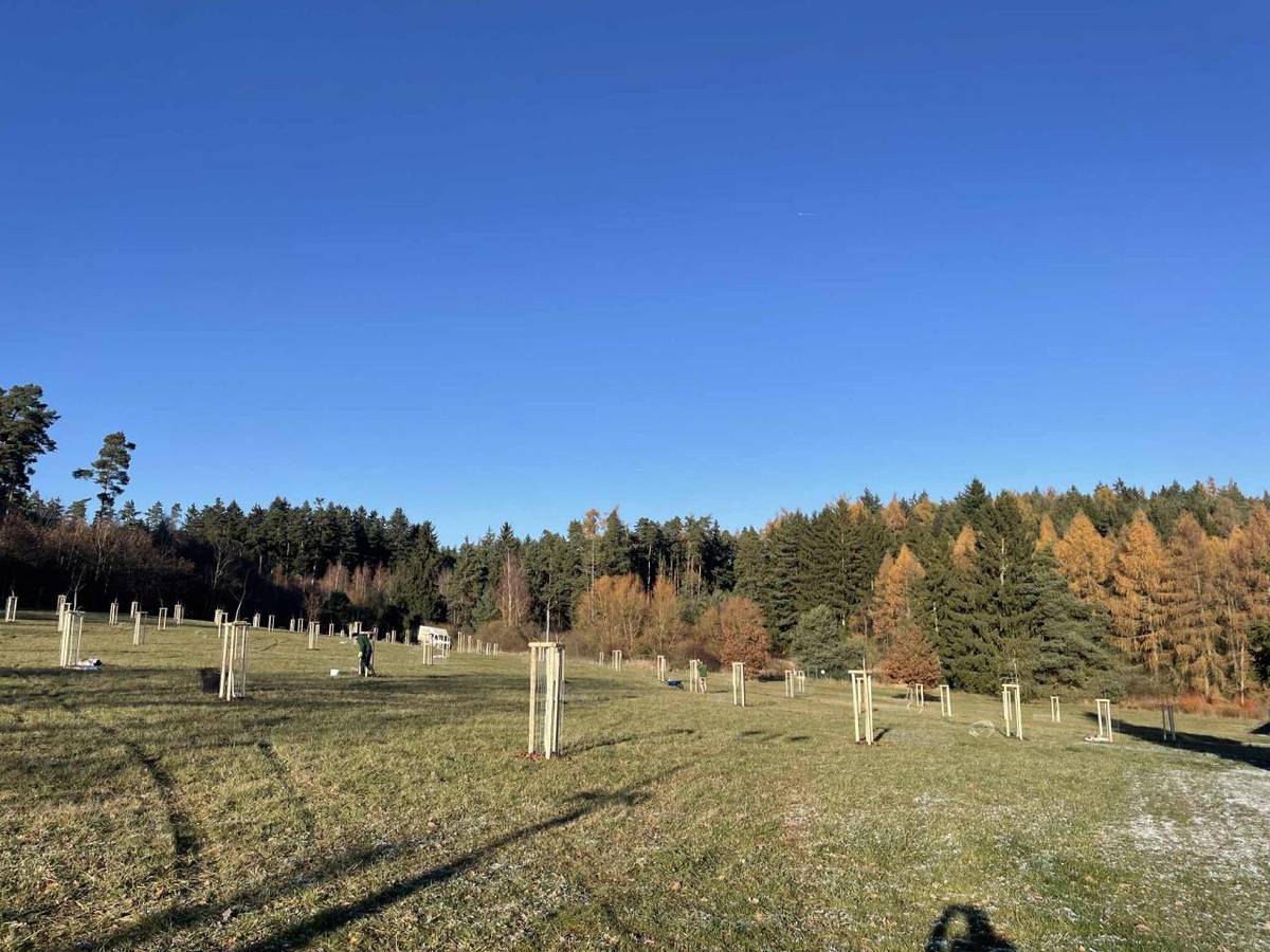 Díky projektu AOPK OPŽP proběhla v obci Záchlumí výsadba dřevin. Nové stromy pomůžou zlepšit prostředí v obci, podpoří místní přírodu a přinesou víc zeleně i stínu.