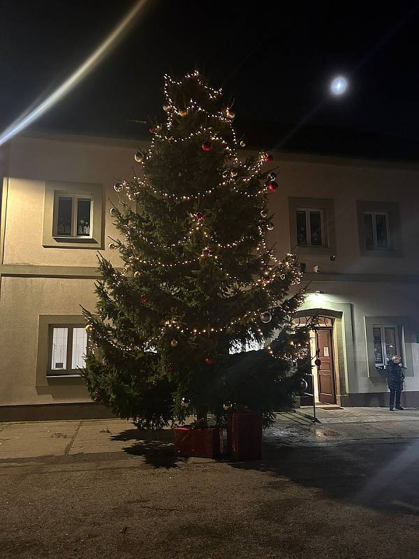 Zapojte se i vy a podpořte náš stromeček v soutěži o nejkrásnější vánoční strom.