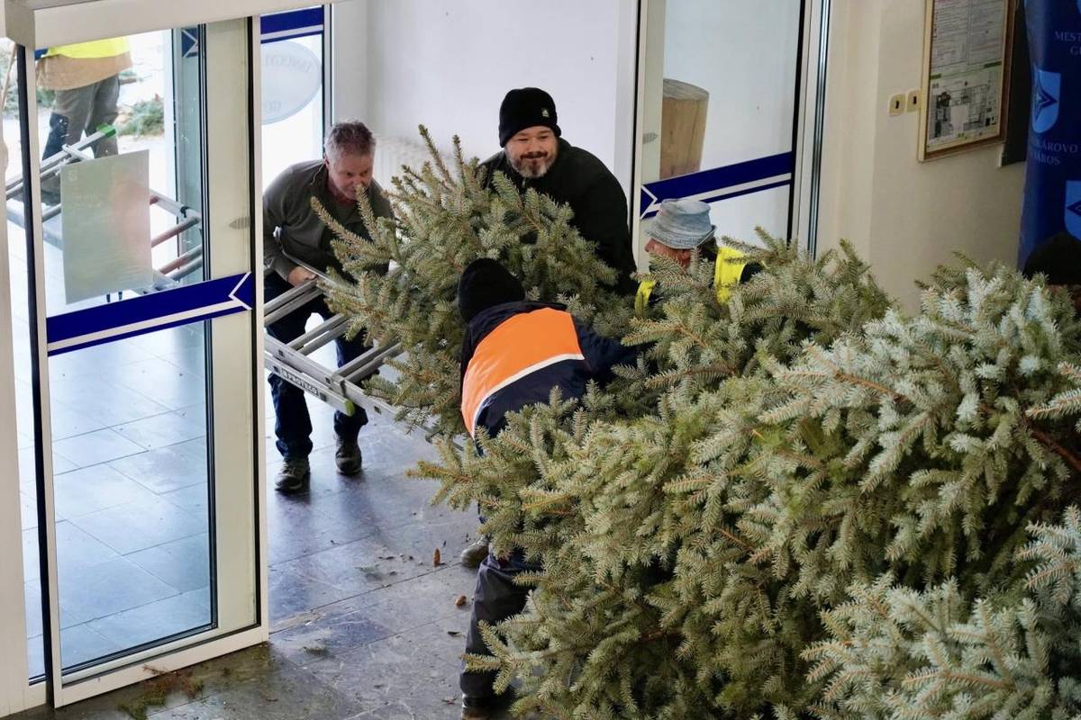 Na Mestský úrad dorazil krásny vianočný stromček, ktorý čoskoro slávnostne vyzdobíme, a betlehem už tiež stojí na svojom mieste. Takto u nás vítame blížiace sa sviatky.