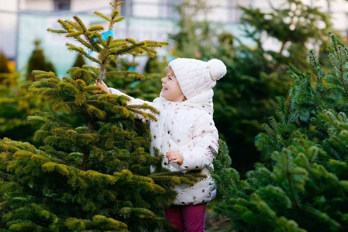 Pán Praslička oznamuje občanom, že má na predaj vianočné stromčeky rezané aj kvetináčové v cene od 30,- Eur. Zakúpiť si môžete každý deň na adrese Kpt. Nálepku 20, Starý Tekov, tel.č.: 0948 188 866.