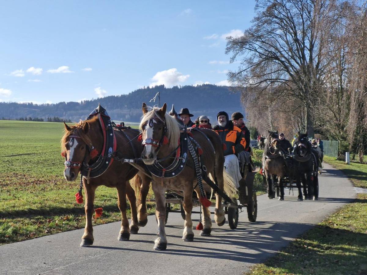 V sobotu 22. listopadu 2025 se v naší obci uskutečnil 1. ročník Hubertovy jízdy, který společně připravili Spolek Chladnokrevníci Květná, Myslivecký spolek Luková a Obec Luková.