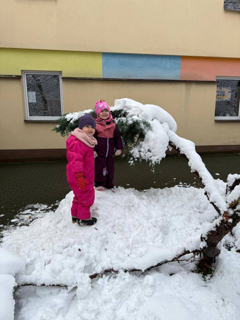 ❄️Včeličky na sněhu❄️