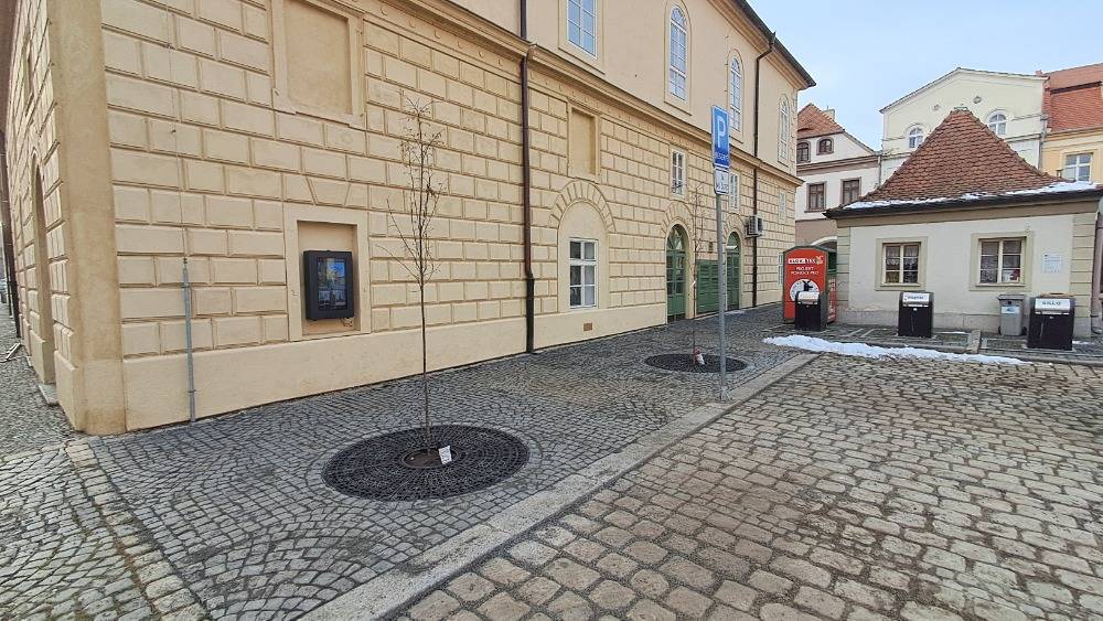 Dva mladé stromky zkrášlují prostor za radnicí na Hošťálkově náměstí. Jsou usazené ve speciálních kontejnerech TreeParker, které umožňují růst stromů i v městské zástavbě.
