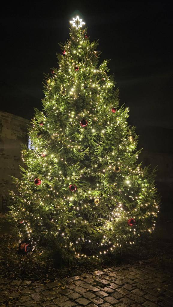 Probíhá soutěž o nejhezčí vánoční strom. Pomozte našemu vánočnímu stromu získat zasloužené vítězství.