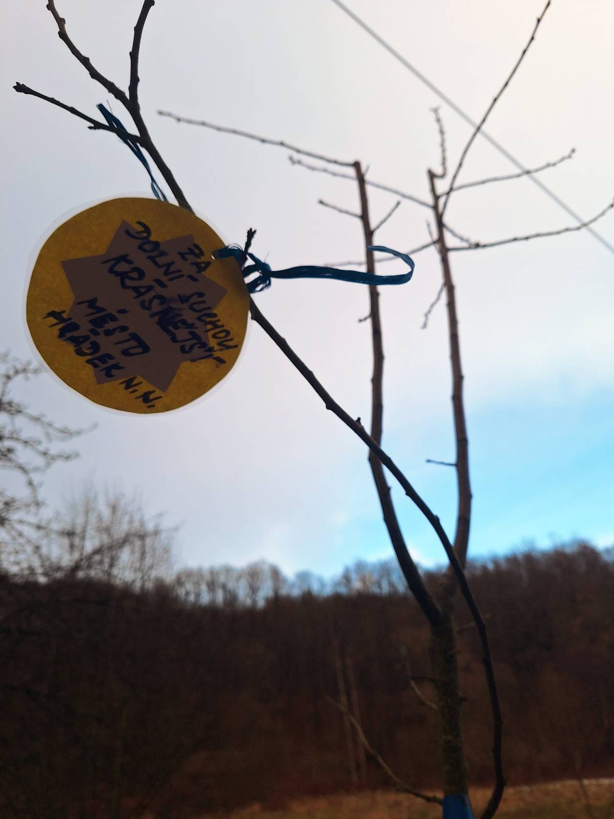 Nedávno obnovenou polní cestu k mostu přes řeku Nisu, která Dolní Suchou propojuje s oblíbenou cyklostezkou Odra–Nisa, nyní lemují zhruba dvě desítky původních odrůd ovocných stromů a keřů. Na okraji obce se během první adventní neděle sešlo přibližně třicet dobrovolníků. Pod odborným vedením firmy Eurogarden společně vysázeli jedlou alej a rovnou ji i vánočně ozdobili jmenovkami, krmením pro ptáčky a milými vzkazy. Mladé stromořadí tak už teď působí jako příjemné místo k procházce. „Je vidět, že když je to pro dobrou věc, místní si čas najdou a zapojí se. Vážíme si i návštěvy podporovatelů z okolí obce. A příjemným bonusem bude do pár let i sladké ovoce,“ řekl Jan Novák, který akci společně s manželkou Kristinou a sousedkou Jitkou Hübnerovou inicioval. Rýče do rukou vzali i zástupci vedení města Hrádku nad Nisou, starosta Pavel Farský, místostarostové Jaroslav Poláček a Jaromír Mottl a radní Petr Dlouhý. Na ozdobu připsali Dolní Suché přání mnoha dalších povedených projektů. Vysazeny byly jabloně, višně, hrušně, slivoně a také několik keřů rybízu, josty a bezu. První jabloň dostala jméno „Pepa“ jako vzpomínku na bývalého starostu města Josefa Horinku. K dobré náladě přispěl i výborný guláš, svařák, čaj a štrúdl z dílny PM Catering. Dobrovolníci se mohli zahřát také u ohně v koši zapůjčeném kastelánkou hradu Grabštejn Věrou Ozogánovou. Děkujeme také manželům Urbanovým za poskytnutí elektřiny. Více fotografií z akce najdete na Facebooku osadního výboru Dolní Suchá – (https://facebook.com/DolniSucha). Děkujeme všem za krásnou akci a za pomoc a těšíme se na další společné projekty v Dolní Suché!  Jan Novák, předseda Osadního výboru Dolní Suchá Foto: Jitka Dařbujánová