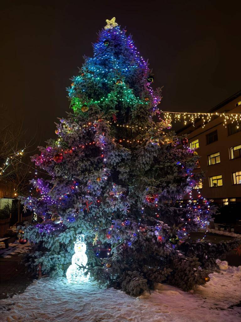 Více než půl století byl majestátní stříbrný smrk nepřehlédnutelnou součástí zahrady u domu č.p. 2 v naší obci. Tak jako u všeho živého však přišel čas, kdy se jeho mohutný růst stal pro nové majitele pozemku rizikem, a proto požádali o povolení ke kácení.