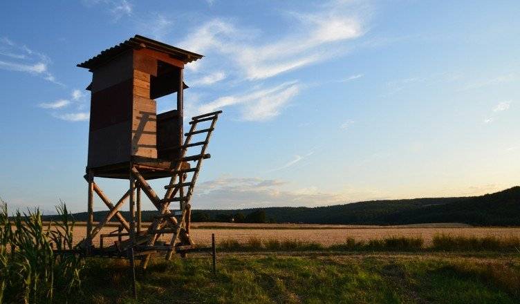 Poľovnícke združenie Čičva Sedliská zorganizuje dňa 6.12.2025 ( t.j. v sobotu), spoločnú poľovačku na diviačiu zver, spojenú s duričskými skúškami poľovných psov. Spoločná poľovačka s skúšky zároveň sa budú konať v k.ú. Sedliská, Vyšný Kazimír a Benkovce.   Začiatok poľovačky je o 08.00 hod. ráno a predpokladaný čas ukončenia poľovačky poobede o cca 14:00 hod.    Týmto by sme chceli poprosiť všetkých občanov okolitých obcí Sedliská, Benkovce a Vyšný Kazimír, aby svoje plánované aktivity (hubárčenie, turistika, atď.) v spomínanom mieste, dni a čase preložili na neskôr, z dôvodu vlastnej bezpečnosti a bezpečného priebehu spoločnej poľovačky.    Spoločná poľovačka sa koná na základe Plánu spoločných poľovačiek schváleného Okresným úradom vo Vranove n/T, pozemkovým a lesným odborom v súlade so Zákonom č. 274/2009 o poľovníctve.    Ďakujeme za porozumenie a ústretovosť !   V Sedliskách, dňa 3.12.2025 Poľovnícke združenie Čičva Sedliská
