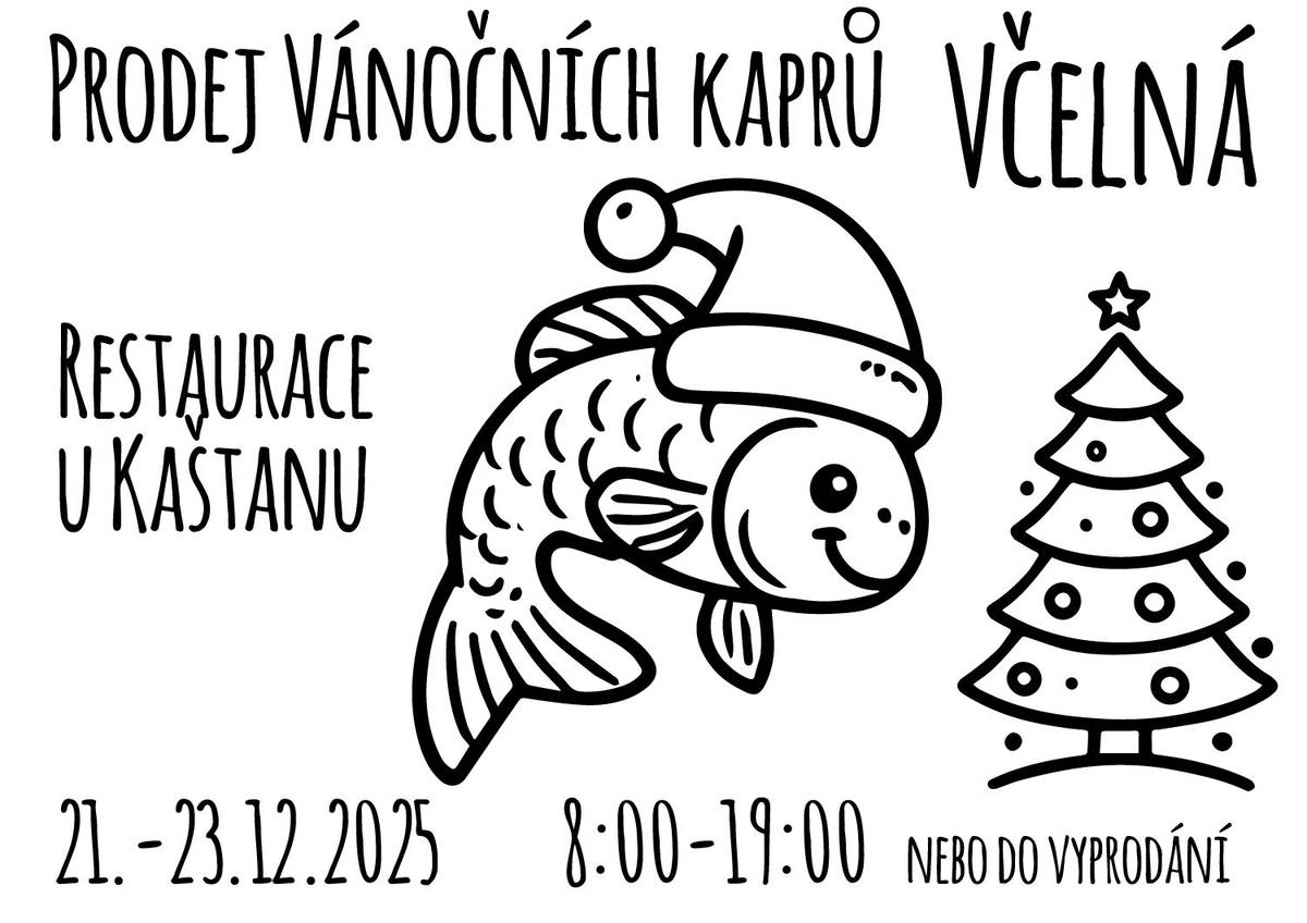 Sdílíme informaci o prodeji vánočních kaprů u sousedů na Včelné.