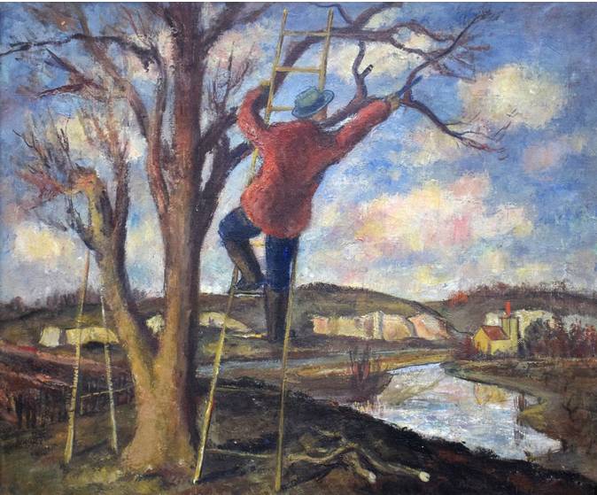 Upozornění vlastníkům či uživatelům nemovitostí (pozemků) na  potřebu ořezu, příp. odstranění dřevi