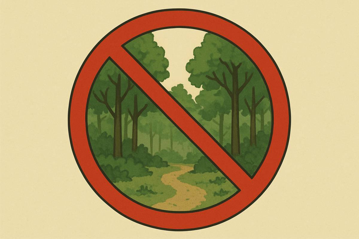 v sobotu od 8:00 do setmění