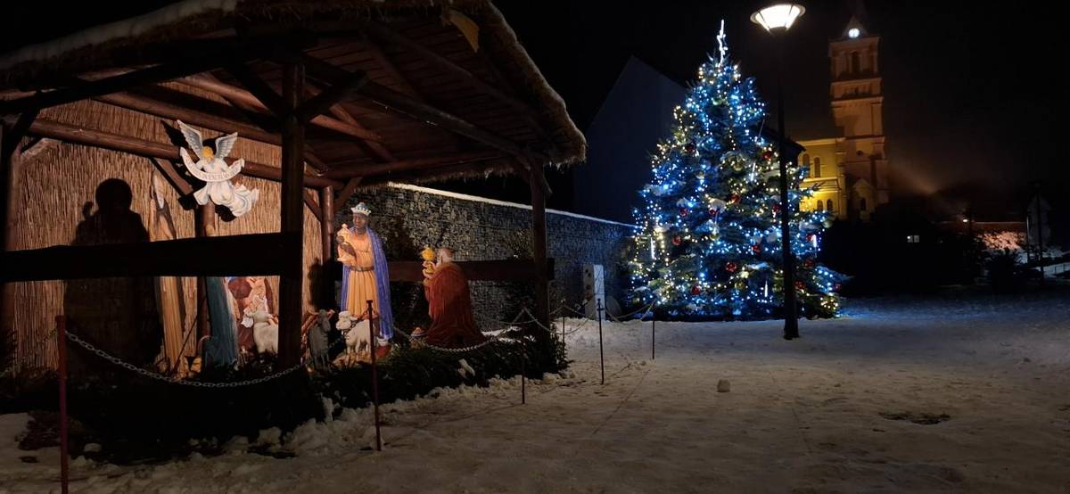 Hlasujte od 10. 12. 2025