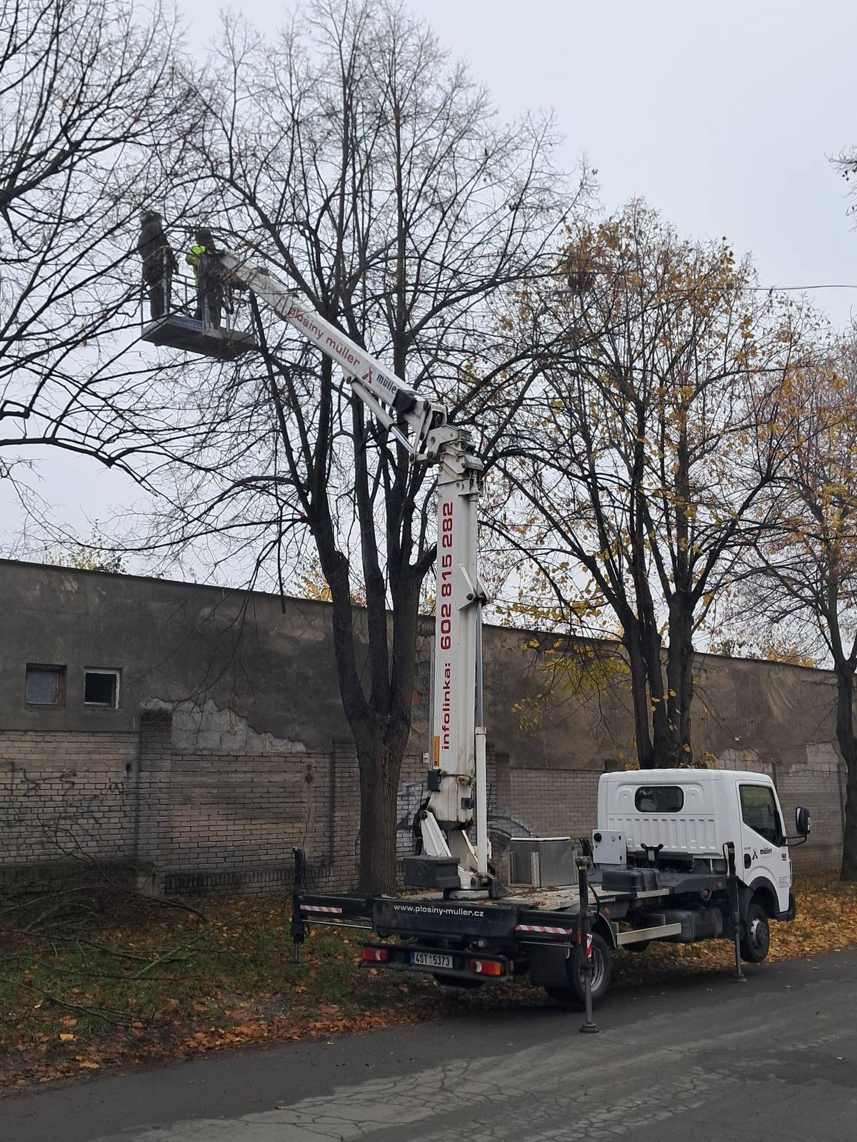 Odborná firma bude v sobotu 6. prosince a v neděli 7. prosince pokračovat v ořezávání stromů v Pivovarské ulici. Větve budou z chodníků odklizeny v pondělí. Děkujeme za pochopení a spolupráci při parkování aut.