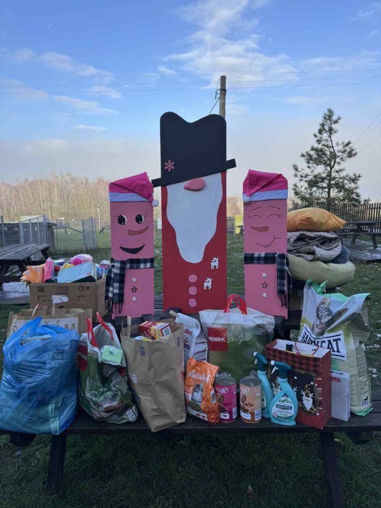 Obec Radovesice uspořádala veřejnou materiální sbírku pro útulek pro opuštěná zvířata Anidef v Žimu.