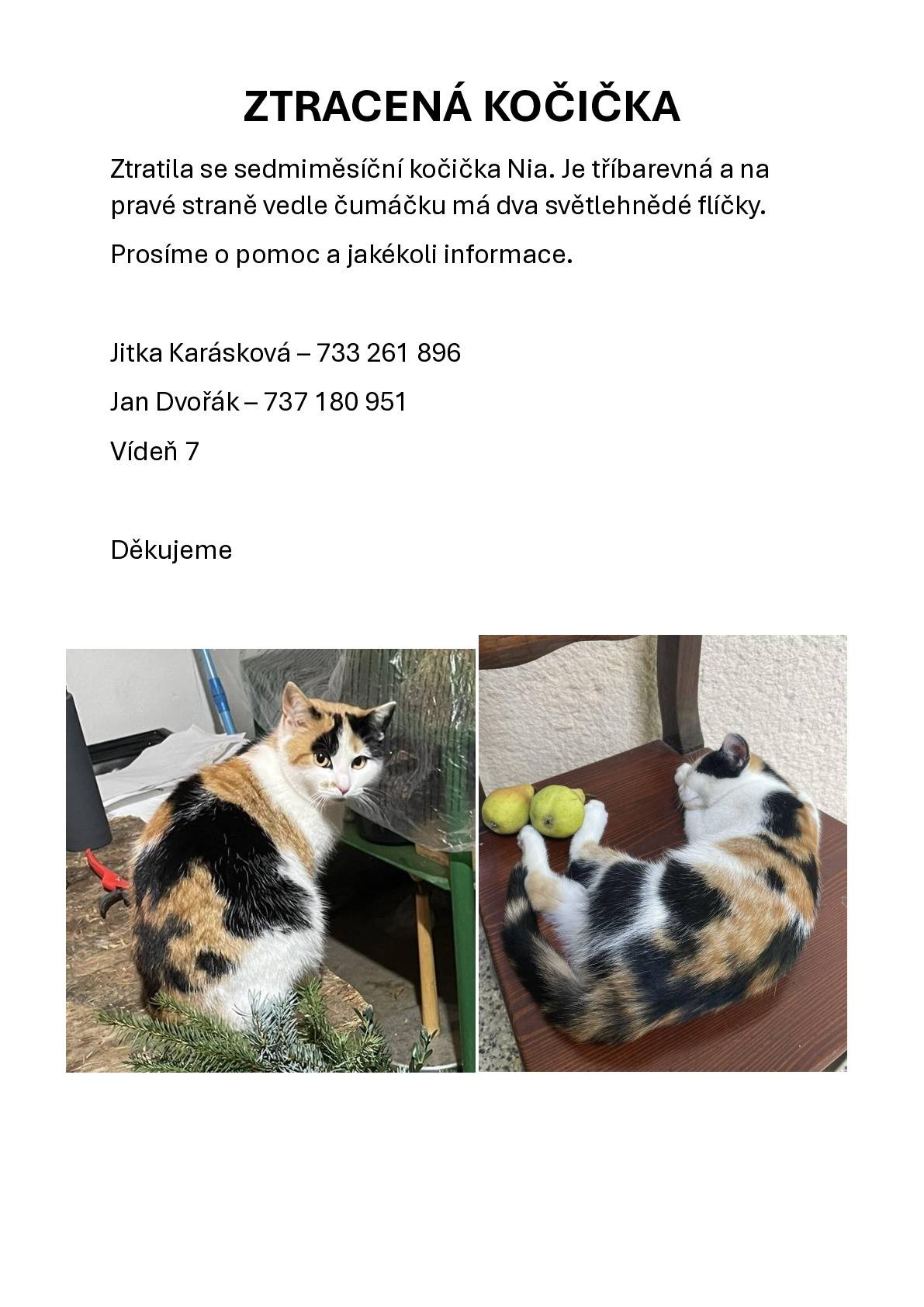 V obci Vídeň se ztratila kočka. Pokud ji zahlédnete nebo naleznete, prosíme, využijte některý z kontaktů uvedených v přiloženém dokumentu. Děkujeme za pomoc