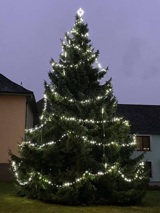 Pokud chcete podpořit náš vánoční strom a rozhodnout tak o vítězi, můžete hlasovat až do 10. prosince 12:00 hod., kdy končí okresní kolo soutěže. Vítězný strom pak postoupí do krajského kola. Hlasování lze opakovat 1x za hodinu. Odkaz na anketu: https://prerovsky.denik.cz/zpravy_region/anketa-vanocni-strom-deniku-prerovsko-hranicko.html  Děkujeme 🎄