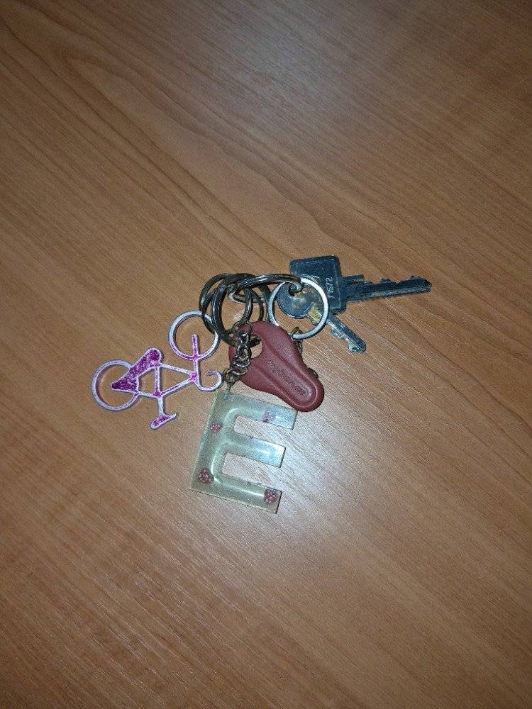 Po rozsvícení stromečku dne 30.11.2025 se našli klíče. Pokud je někdo postrádá, jsou na OÚ ve vile.