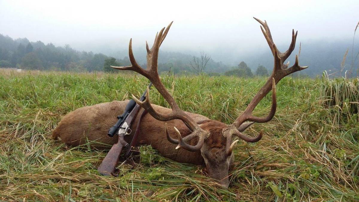 Poľovnícke združenie Žrnová Lednica oznamuje, že dňa 13.12.2025 bude prebiehať plánovaná spoločná poľovačka so začiatkom o 08.00 hod približne do 15.00 hod