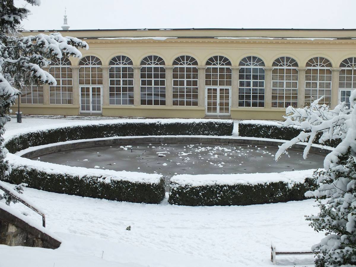 Zveme na 20. Zastupitelstvo města Boskovice, které se uskuteční v úterý 9. prosince 2025 od 16 hodin v zámeckém skleníku. Zastupitelstvo můžete sledovat i on-line.