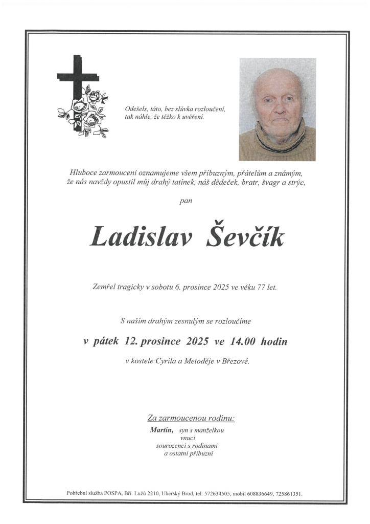 Ladislav Ševčík