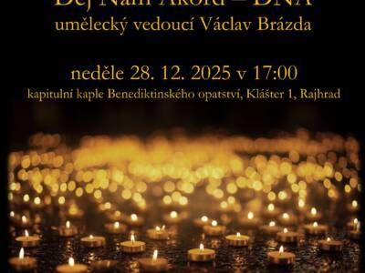 Dej Nám Akord - DNA,  neděle 28.12.2025 v 17. hod