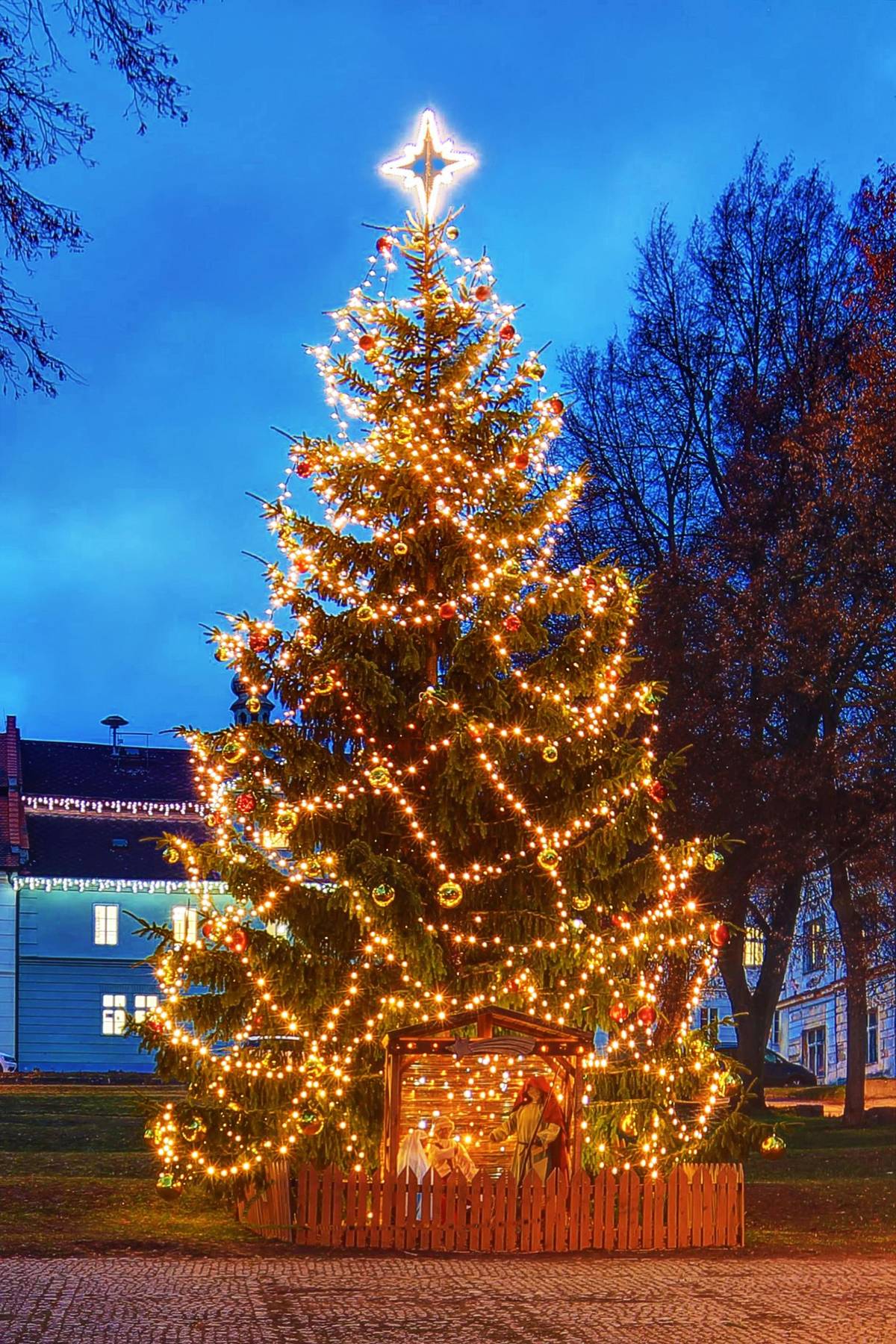 Vážení občané, Žádáme Vás o podporu vánočního stromu města Žlutice v soutěži společnosti ČEZ. Vánoční strom našeho města je zařazen do veřejného hlasování, ve kterém mohou jednotlivé obce získat finanční podporu. Budeme velmi rádi, pokud se do hlasování zapojíte a zároveň poprosíte o podporu i rodinu, přátele a známé. Každý hlas nám může pomoci k lepšímu výsledku. https://www.cez.cz/webpublic/vast/cs/vanoce?rjPC15%3ApageNumber=20&rjPC15%3AaccessKey=vast&ramJetParameterContext=rjPC15