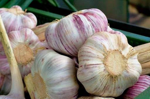 V sobotu 13.12.2025 přijede firma Andra ovoce a zelenina. V nabídce budou brambory na uskladnění, brambory na salát, cibule červená i žlutá, jablka, česnek a další ovoce a zelenina. Volný prodej z auta. Pro více informací volejte na číslo 604 811 005. Prodej se uskuteční od 11:30 do 12:00 hod. na náměstí v Hustopečích nad Bečvou.