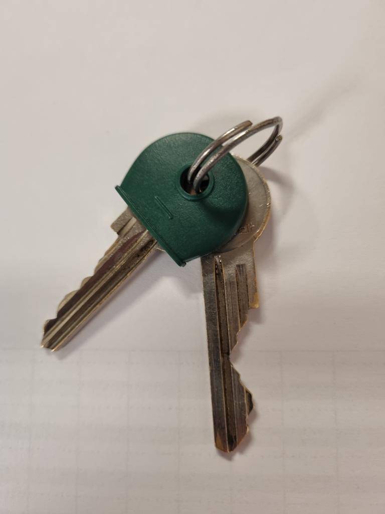 13/2025  nalezeny u školy