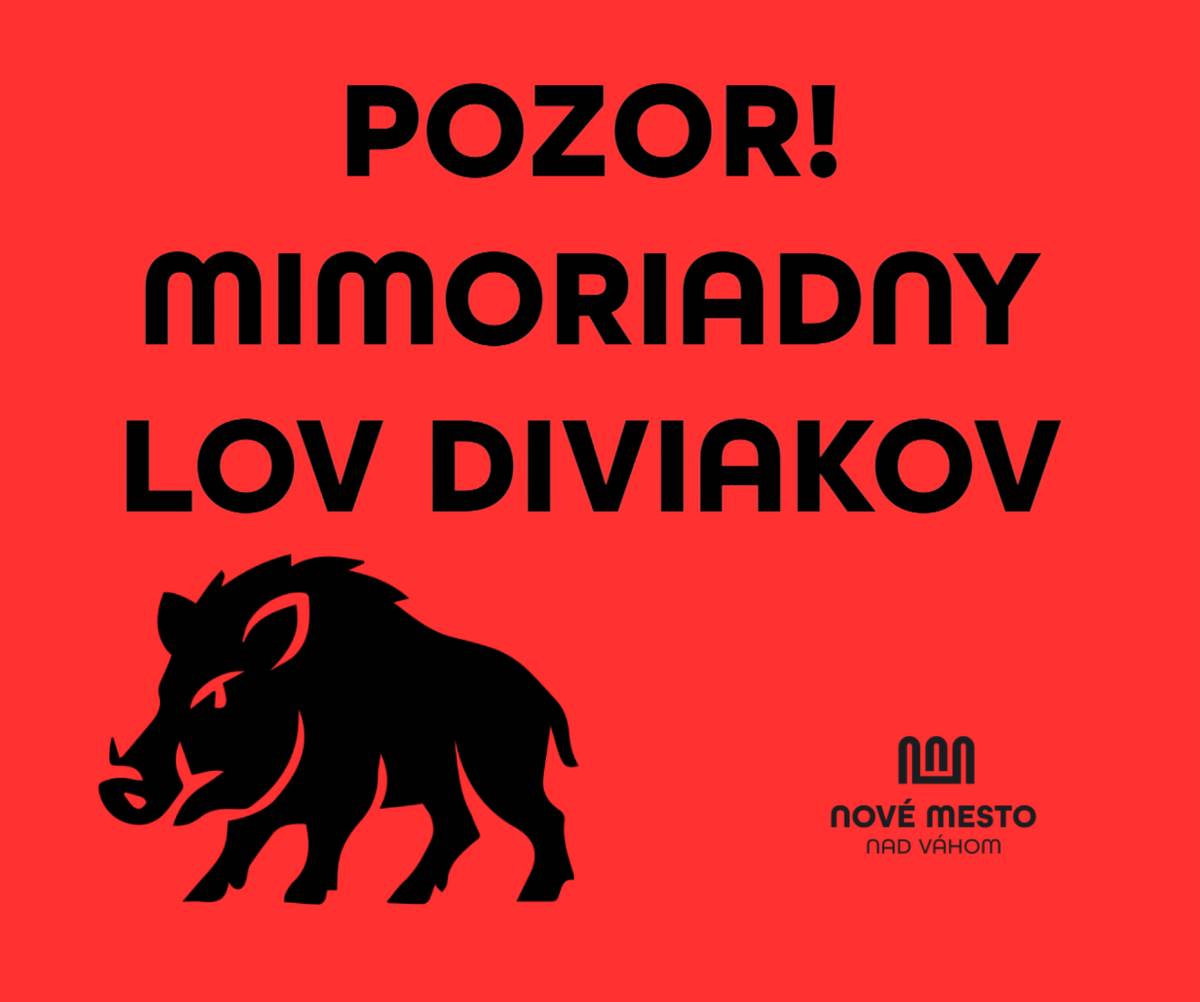 Mimoriadny lov diviačej zveri v obytných zónach – opatrenie platí do februára 2026 V reakcii na narastajúci výskyt diviačej zveri v zastavaných a obytných častiach mesta vydal Okresný úrad Nové Mesto nad Váhom, pozemkový a lesný odbor, na základe žiadosti mesta rozhodnutie o vykonaní mimoriadneho lovu diviačej zveri na nepoľovných plochách v intraviláne mesta. Opatrenie platí pre celé zastavané územie mesta Nové Mesto nad Váhom až do 28. februára 2026. Výkonom lovu bola poverená Poľovnícka spoločnosť Preliačina, užívateľ poľovného revíru Nové Mesto nad Váhom.   Dôvodom je priame ohrozenie obyvateľov V posledných mesiacoch sa výskyt diviakov v obytných lokalitách výrazne zvýšil. Zver sa pohybuje medzi rodinnými domami, na sídliskách, v záhradách i v okolí škôl, čo predstavuje bezpečnostné riziko pre obyvateľov. Okrem toho spôsobuje značné škody – rozrývanie pôdy, poškodzovanie oplotení či ničenie záhradnej vegetácie. Primárnym cieľom mimoriadnych opatrení je znížiť populáciu diviačej zveri v intraviláne mesta a minimalizovať riziko stretov so zverou.   Bezpečnostné opatrenia počas lovu Lov bude vykonávaný za prísnych bezpečnostných podmienok vzhľadom na blízkosť obydlí a pohyb osôb.   Poľovníci budú povinní vždy informovať mestskú políciu o výkone lovu.   Počas spoločných poľovačiek budú poľovníkom asistovať hliadky mestskej polície, ktoré budú koordinovať pohyb osôb v dotknutých lokalitách.   Poľovačky budú prebiehať počas vybraných víkendov v čase od 8:00 do 12:00 hod.    Počas vianočných a novoročných sviatkov sa lov vykonávať nebude.   O presných termínoch a územiach bude mesto včas informovať prostredníctvom svojich oficiálnych informačných kanálov.   Výzva obyvateľom Mesto vyzýva obyvateľov, aby počas lovu:   obmedzili pohyb vonku na minimum v danej lokalite   nezdržiavali sa v záhradách a v blízkosti zastavaných okrajových plôch,   rešpektovali pokyny mestskej polície a poverených poľovníkov,   počítali so zvýšenou hlučnosťou a výstrelmi v niektorých lokalitách.   Mesto zároveň odporúča majiteľom pozemkov a psov, aby počas poľovačiek zabezpečili svoje zvieratá na bezpečných miestach.   Spolupráca pre vyššiu bezpečnosť Situácia si vyžaduje rázne, ale riadené opatrenia. Našou prioritou je bezpečnosť obyvateľov a ochrana verejných aj súkromných priestranstiev. Veríme, že vďaka spolupráci mesta, poľovníkov a obyvateľov sa nám podarí výskyt diviakov v intraviláne výrazne obmedziť.   O ďalších krokoch a termínoch poľovačiek bude mesto priebežne informovať. Ďakujeme za spoluprácu, trpezlivosť a pochopenie.   POZOR! MIMORIADNY LOV DIVIAKOV | www.nove-mesto.sk