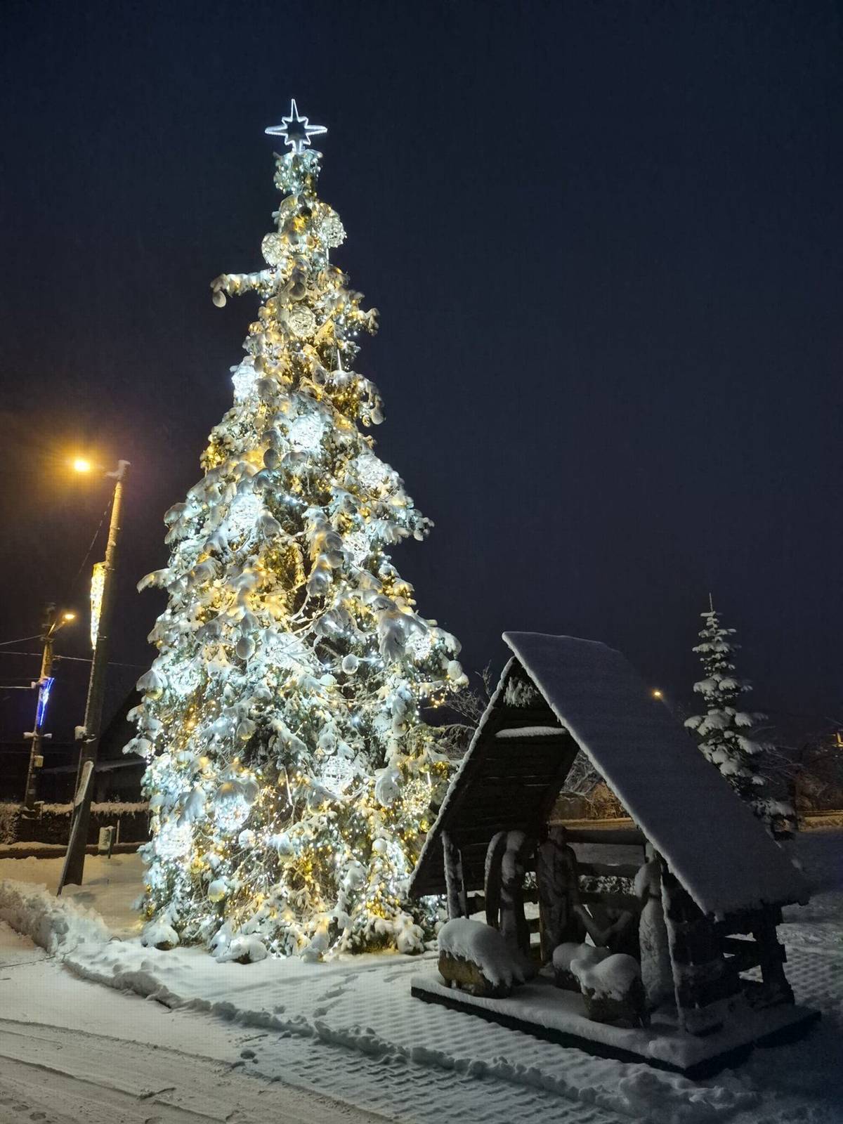 Náš vánoční strom zdobí celé Petrovice, ale aby zazářil i v celostátní soutěži o nejhezčí vánoční stromeček roku 2025, potřebujeme vaši podporu – stačí pár vteřin!     JAK HLASOVAT? Stačí otevřít odkaz https://www.cez.cz/cs/vanoce#places, vyhledat obec Petrovice u Karviné, dát hlas našemu stromu a sdílet výzvu dále – každé hlasování totiž může rozhodnout!     Hlasování startuje právě dnes a potrvá až do půlnoci 18. 12. 2025. Vítězové budou vyhlášeni 19. 12. 2025.     Pojďme společně dokázat, že ten nejhezčí strom stojí právě u nás!