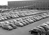 Nekonečná řada „brouků“: jestlipak se některý z exemplářů na fotografii z expediční plochy dochoval až dodnes?