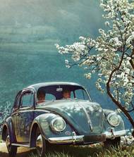 Pod rozkvetlým stromem pořizoval reklamní fotografie nejen Daimler-Benz, ale i Volkswagen