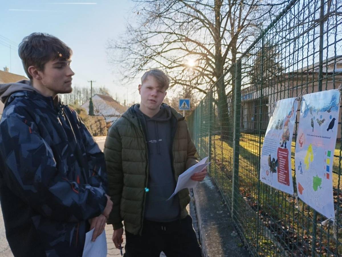 Dnes jsme v kroužku absolvovali "Vánoční stezku" po Dačicích. Úkoly jsme zdárně zvládli a krásně jsme se prošli. Děkujeme Infocentru Dačice za úžasný zážitek.